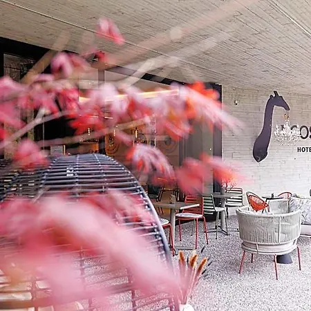 Ecos Del Sella Hotel 3*